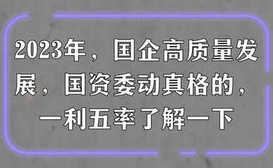 國(guó)務院國(guó)資委權威解讀中央企業“一(yī / yì ／yí)利五率”經營指标體系